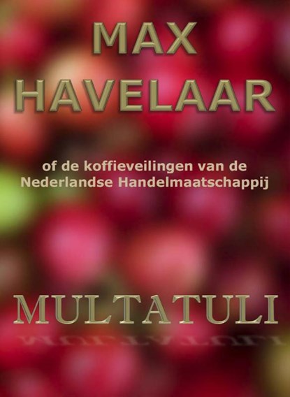Max Havelaar of de koffieveilingen van de Nederlandse Handelmaatschappij, Multatuli - Paperback - 9789492228086