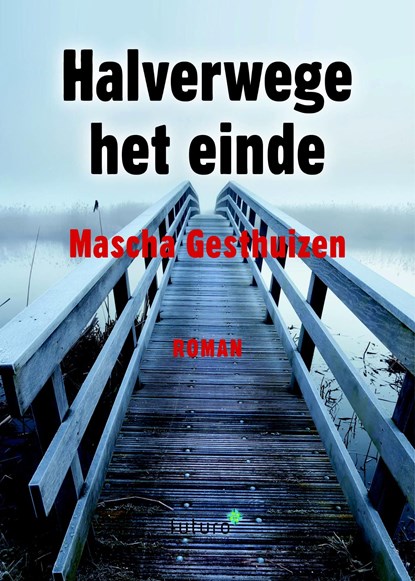 Halverwege het einde, Mascha Gesthuizen - Ebook - 9789492939111