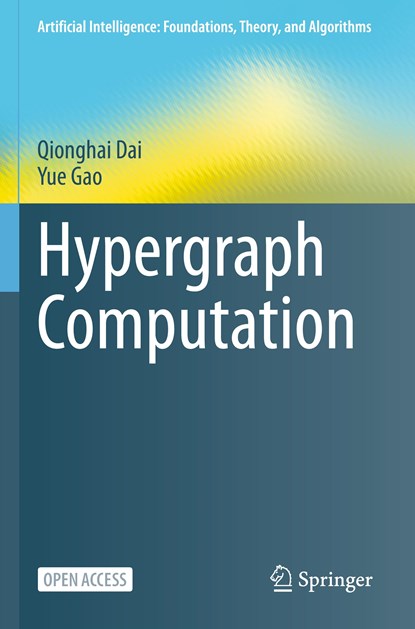Hypergraph Computation, Qionghai Dai ; Yue Gao - Paperback - 9789819901876