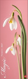 Magic Flowers Vertical Kalender 2027 -  - 9783756415113
