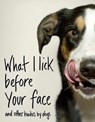 What I Lick Before Your Face ... and Other Haikus By Dogs - Jamie Coleman - 9781473563629