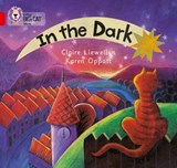 In the Dark - Claire Llewellyn - 9780007185528
