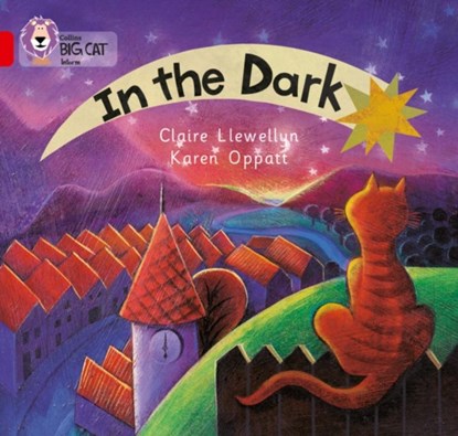 In the Dark, Claire Llewellyn - Paperback - 9780007185528