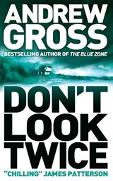 Don't Look Twice - Andrew Gross - 9780007242498