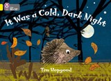 It Was a Cold Dark Night - Tim Hopgood - 9780007329229