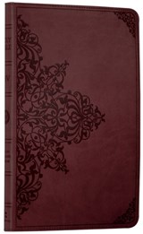 Holy Bible: English Standard Version (ESV) Anglicised Chestnut Ornamental Thinline edition - Collins Anglicised ESV Bibles - 9780007360659