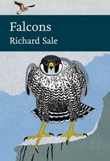 Falcons - Richard Sale - 9780007511433
