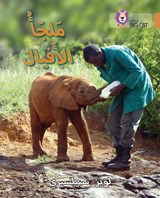 Elephant Sanctuary - Louise Spilsbury - 9780008131616
