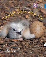 What's in the Egg? - Moira Butterfield - 9780008185565