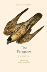 The Peregrine: 50th Anniversary Edition - J. A. Baker ; Robert Macfarlane - 9780008253189