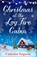Christmas at the Log Fire Cabin, Catherine Ferguson - Paperback - 9780008274597