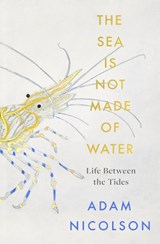 The Sea is Not Made of Water | Adam Nicolson | 