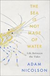 Life Between the Tides - Adam Nicolson - 9780008294793