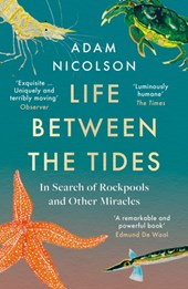 Life between the tides