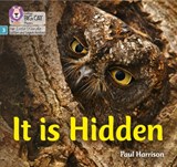 It is Hidden - Paul Harrison - 9780008502409