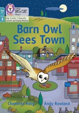 Barn Owl Sees Town - Charlotte Raby - 9780008551759