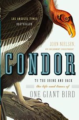 Condor - John Nielsen - 9780060088637