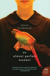 An Almost Perfect Moment - Binnie Kirshenbaum - 9780060520878