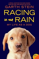 Racing in the Rain - Garth Stein - 9780062015761