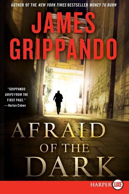 Afraid of the Dark Large Print, James Grippando - Paperback - 9780062017970