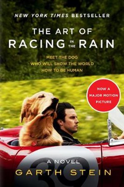 The Art of Racing in the Rain, STEIN,  Garth - Paperback - 9780062364913