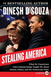 Stealing America LP