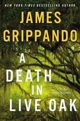 A Death in Live Oak - James Grippando - 9780062657800
