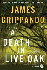 A Death in Live Oak - James Grippando - 9780062791979