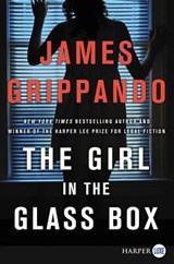 The Girl in the Glass Box: A Jack Swyteck Novel - James Grippando - 9780062888006