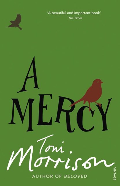 A Mercy, Toni Morrison - Paperback - 9780099502548