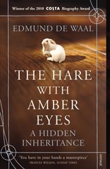 The hare with amber eyes: a hidden inheritance | Edmund deWaal | 