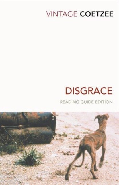 Disgrace, J.M. Coetzee - Paperback - 9780099540984