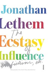 The Ecstasy of Influence - Jonathan Lethem - 9780099563433