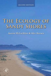 The Ecology of Sandy Shores