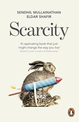 Scarcity - Sendhil Mullainathan ; Eldar Shafir - 9780141961194