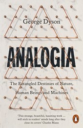Analogia: the entangled destinies of nature, human beings and machines