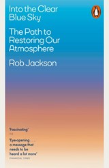 Into the Clear Blue Sky - Rob Jackson - 9780141996141