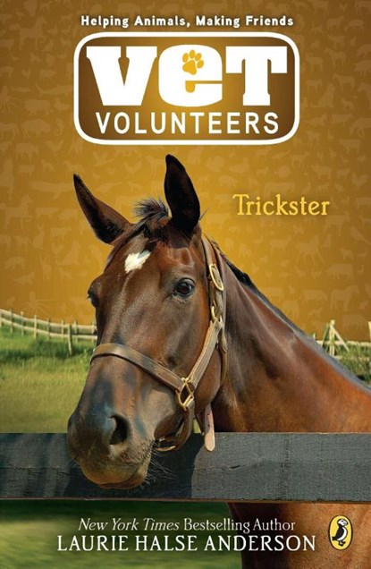 Trickster, Laurie Halse Anderson - Paperback - 9780142410837