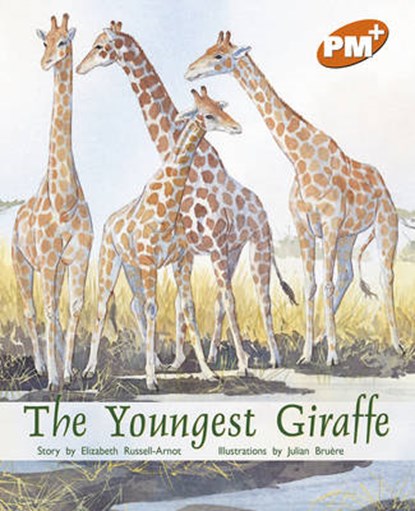 Youngest Giraffe PM Plus Orange,  - Paperback - 9780170097390