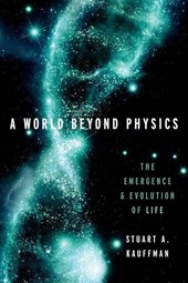World Beyond Physics