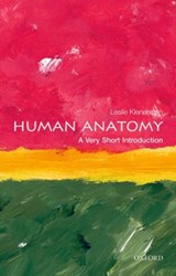 Human Anatomy - Leslie (Formerly Emeritus Professor of Orthopaedic Surgery Klenerman - 9780198707370