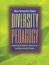 Diversity Pedagogy