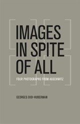 Images in Spite of All | Georges Didi-Huberman | 