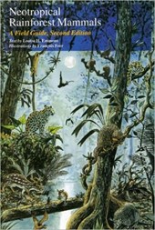 Neotropical Rainforest Mammals