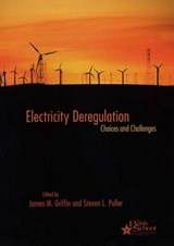 Electricity Deregulation - James M. Griffin ; Steven L. Puller - 9780226308562