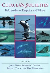Cetacean Societies