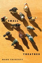 Small Theatres - Mark Truscott - 9780228027928