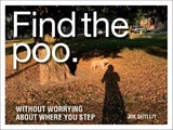 Find the Poo - Joe Shylitt - 9780228101802
