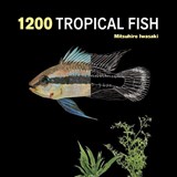 1200 Tropical Fish: An Illustrated Guide to 1200 Fish Species from Around the World - Mitsuhiro Iwasaki - 9780228106067