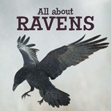 All about Ravens - Inhabit Education Books - 9780228702634